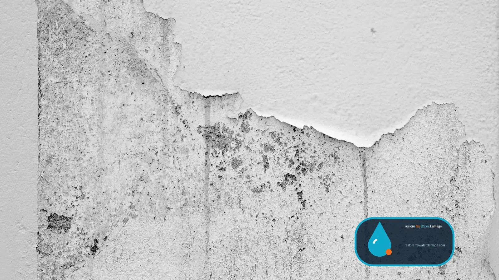 Peeling, water-damaged plaster on a lower wall, the kind of harm basement water damage restoration addresses