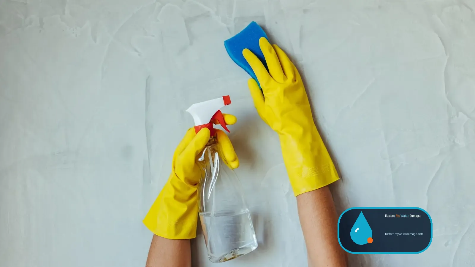 Gloved hands wiping a wall with sponge and cleaning spray during water damage cleanup