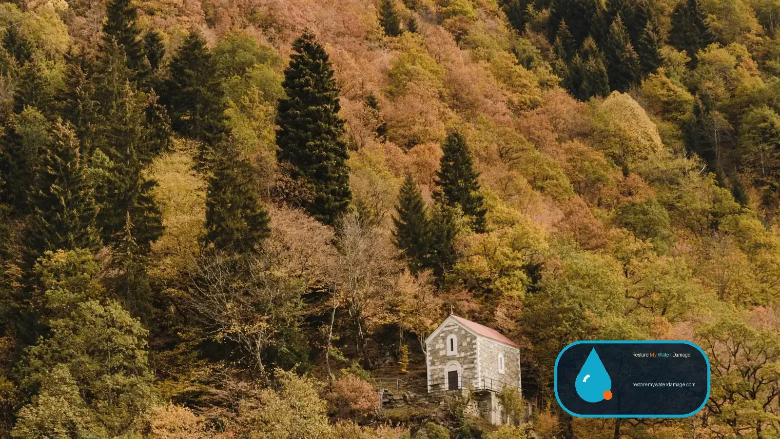 Small house on a steep wooded hillside, the kind of setting for water damage restoration in Tennessee